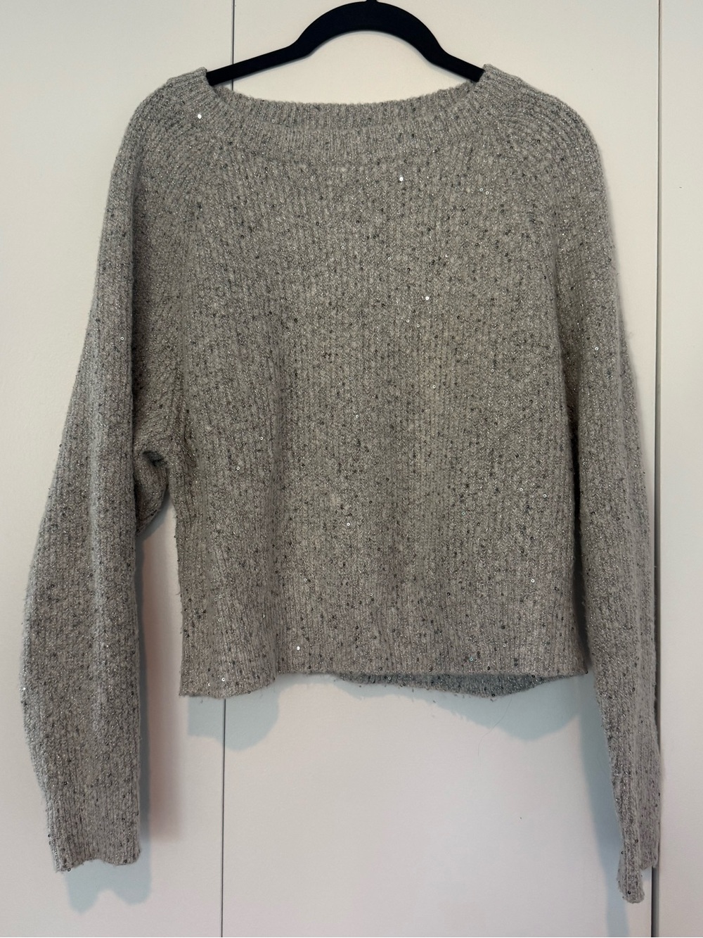 Express Silver Sequin Sweater